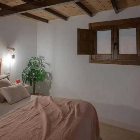 Suites Jardines de la Alhambra (Muralla Zirí)-2